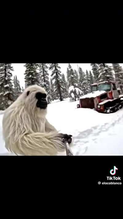 El loco blanco