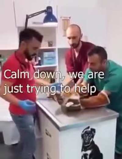 The horror