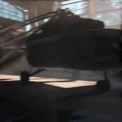 Look out behind you caw caw