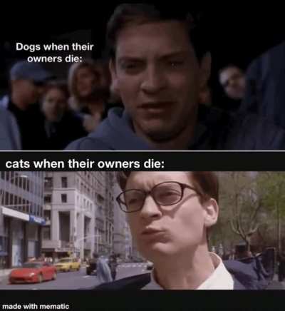Looks true