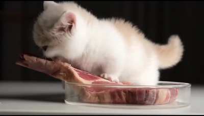 eu🍖nvr