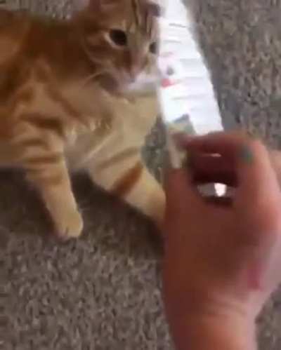 Sorry if its a repost.