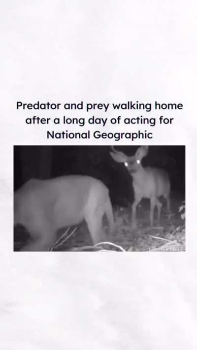 NFC