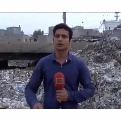 Pakistani news reporter's encounter with a cow