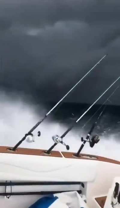At first I thought they were going too fast and then the camera turned and I don't think they're going fast enough 🌊