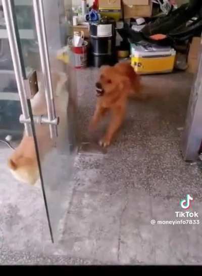 Frenemies