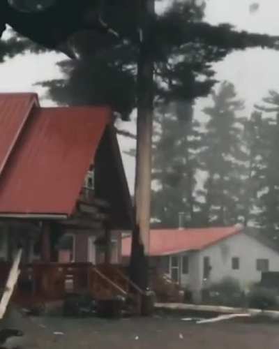 🔥 Tree gets obliterated by lightning