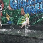 So Graceful!