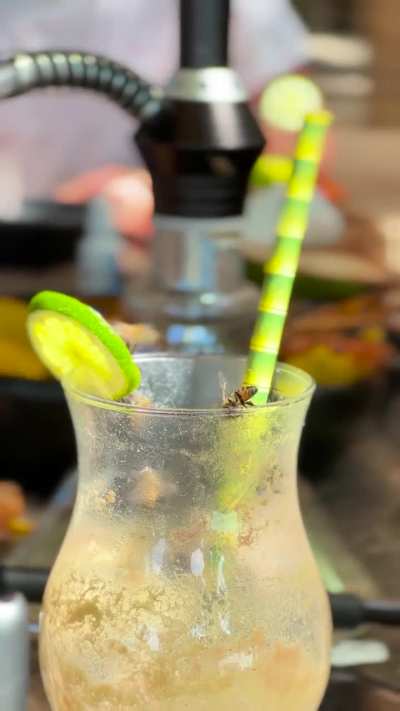 Drink a bee-r