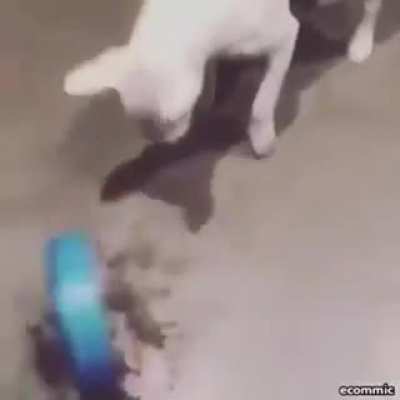 rule
