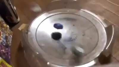 beyblade