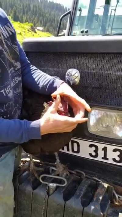 The way you shake it