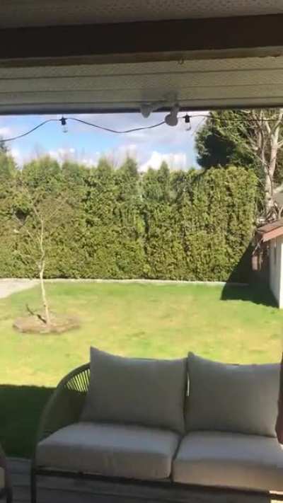 My Yard