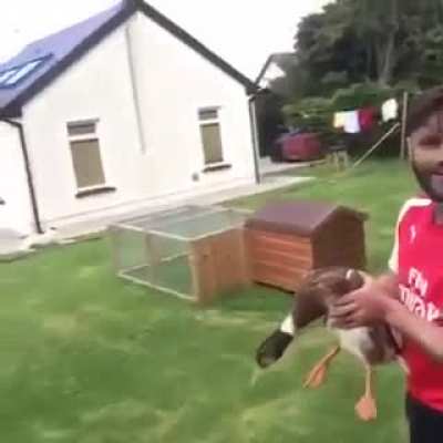 Shit, duck!