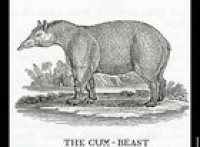 ｃｕｍ