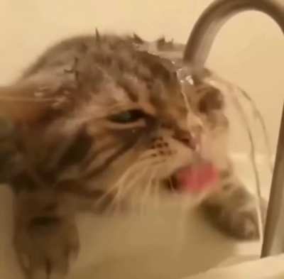 To drink water