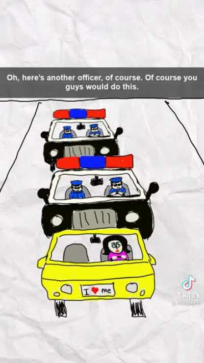 calling cops on cops, sounds about right