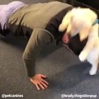 Motivational doggo