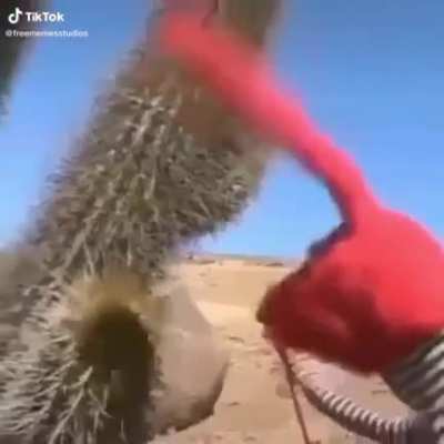 Yes I know it’s from TikTok