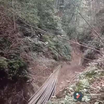 Bamboo transport