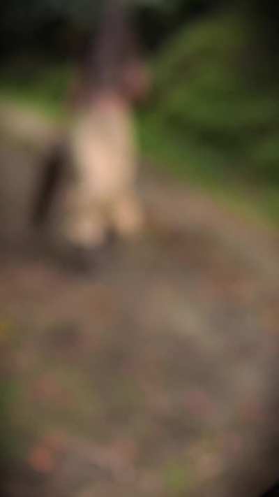 Pyramid Head is coming… (Adve<wbr>nture<wbr>Junto<wbr>s) [Silent Hill]