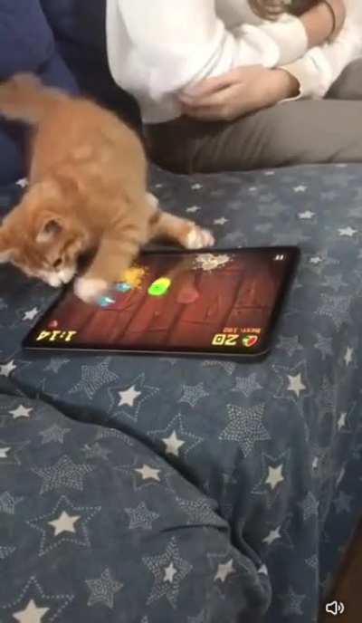 Fruit Ninja