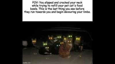feline