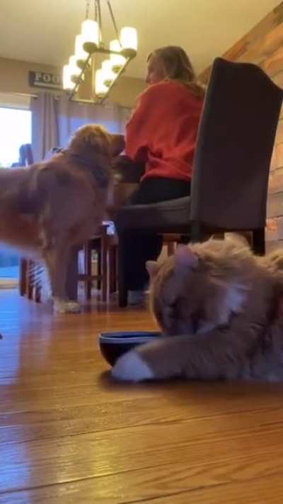 Is it time to eat?