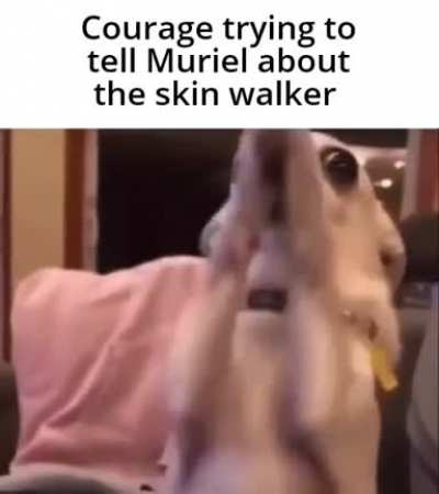Booga booga booga