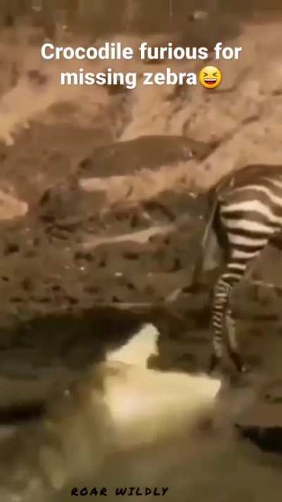 to have lunch