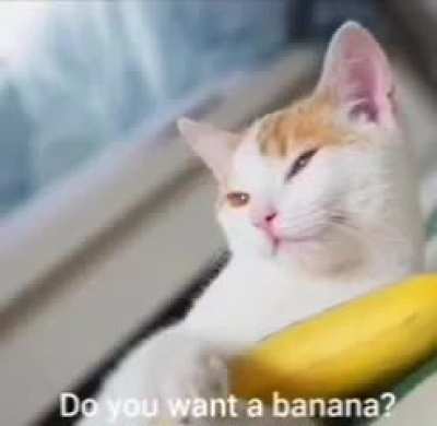 Praise spez and praise ðanana man