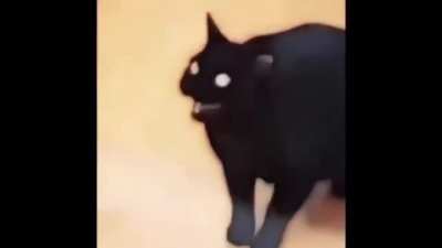 😮