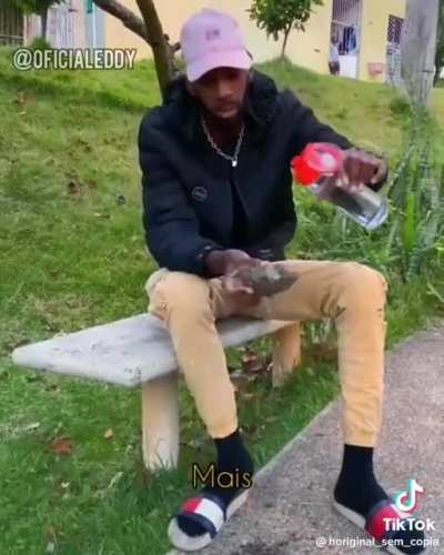 bom dia