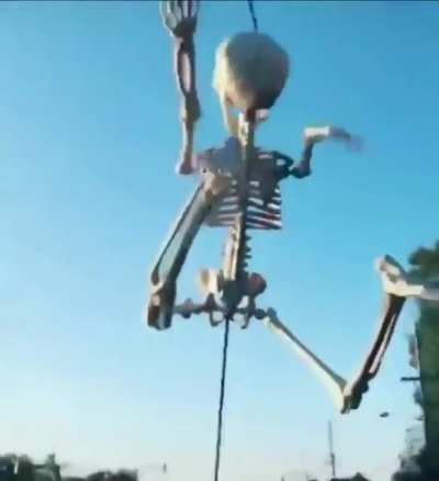Halloween Idea!