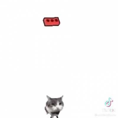 Moldy Wii sports 