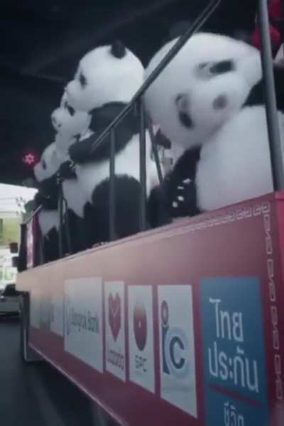 WE ARE EVERYWHERE...