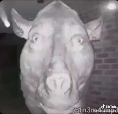 Mi cara cuando