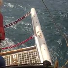 Line thrower