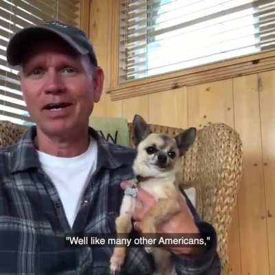 chihuahua life