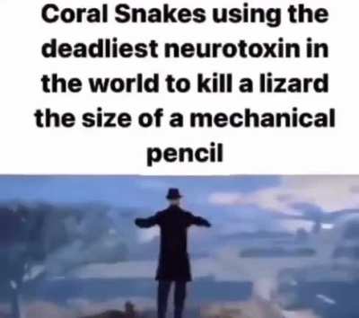 Why