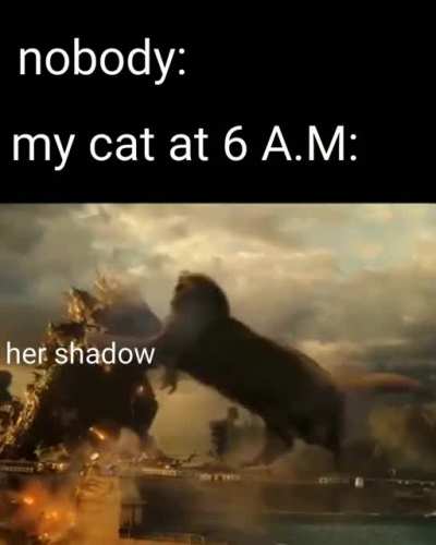 she is a damn warrior
