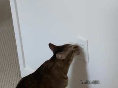 tIRED oF all THe BuLLshit, KAt ENds IT Once AND FOr ALL!