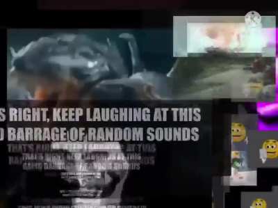 funni meem
