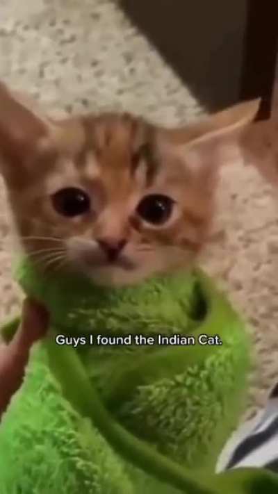 NO WAY WE FOUND HIM