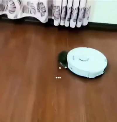Vacuumed 😿
