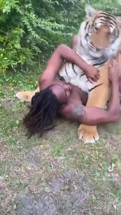 Sorry but having a 300-pound carnivorous cat jump on me is a big no