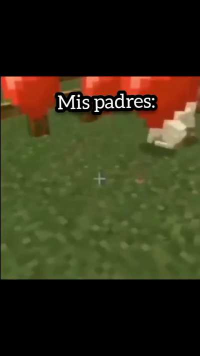 XD