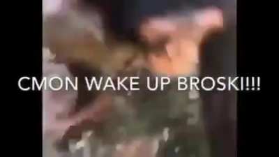 Yooooooooooooooooooo