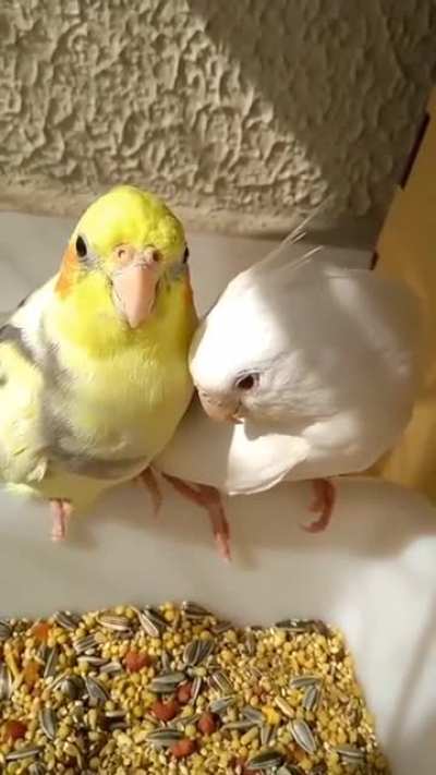Best first date ever