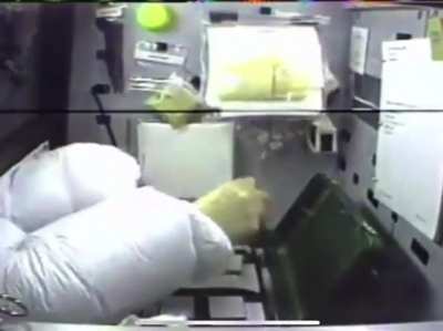 A frog in space....